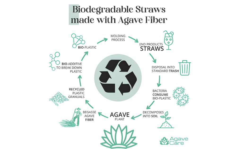 Biodegradable Agave Straws