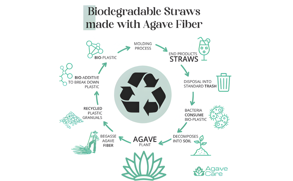 Agave Care | Agave Care | Biodegradable Agave Straws